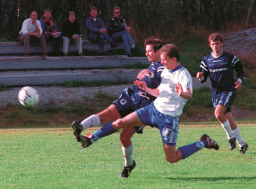 ArjanHulsker-surna99